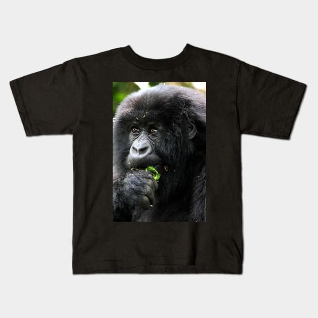 Juvenile Mountain Gorilla Eating, Kwitonda Group, Rwanda, East Africa Kids T-Shirt by Carole-Anne